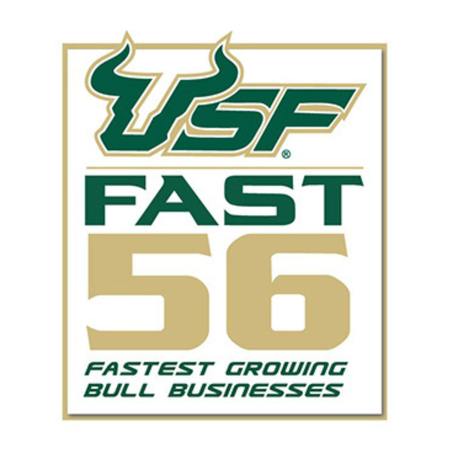 USF's Fastest Growing Bull-Lead Businesses Nominee